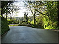 Steep road down to Cadleigh Park, near Ivybridge