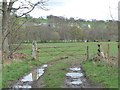 Gated field access, Browney Valley