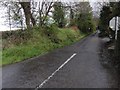 W5960 : Lane off the N71 by Neville Goodman