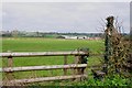 Footpath to Woodhouse Fields Farm and beyond