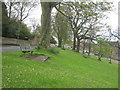 Seat overlooking Witton-le-Wear village green