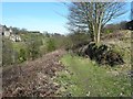 Unofficial path off Clapgate Lane, Soyland