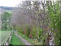 Path to the Clyde Walkway