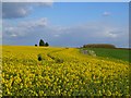 SU2253 : Farmland, Collingbourne Ducis by Andrew Smith