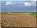 SU2353 : Farmland, Collingbourne Ducis by Andrew Smith