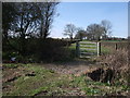 Bridleway to Old Park Farm, near Cloatley