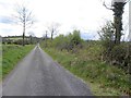 H2912 : Road at Kildallan by Kenneth  Allen