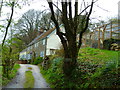 Orange Way in Devon and Torbay (446)