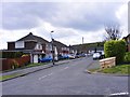 Tynedale Crescent View