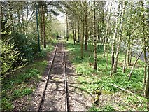 SD8303 : Tramway passing through woodland, Heaton Park by Christine Johnstone
