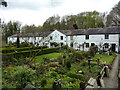 Petre Bank cottages