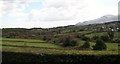 The Burren Valley west of Castlewellan