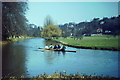 Rowers on the Wey