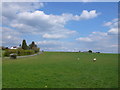 SP1751 : Fields near Milcote Castle by Nigel Mykura