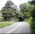 Bend ahead on the Usk road, Llanbadoc