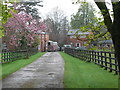 The approach road to Claremont Equestrian Centre