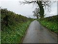 Country lane between Llanychan and Hendrerwydd