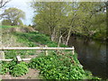 Footpath beside the river Elwy, just north of St Asaph