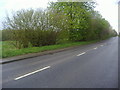 Dunmow Road, Takeley