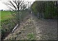 Public Footpath to White Roding