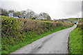 Lane approaching Llwyniorwerth Uchaf