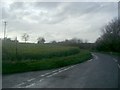 Rape field by Dane bridge