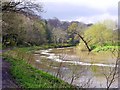 River Coquet from Mill Walk