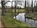 SP5105 : Stream by Christ Church meadow by Paul Gillett