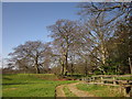 Trees and track, Nidd