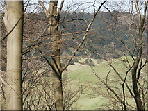 SU7120 : Glimpse of Butser Hill from the east side of the A3 by Peter S