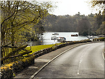 NS3691 : Loch Lomond, Aldochlay by David Dixon