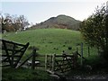 Footpath to Birks