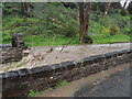 Afon Colwyn yn gorlifo / Afon Colwyn overflowing