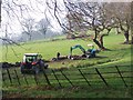 Dry Stone Walling the modern way, More Hall, near Oughtibridge