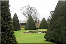 SY7794 : Topiary, Athelhampton House, Dorset by Christine Matthews