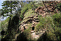 Caves above the Ale Water at Ancrum