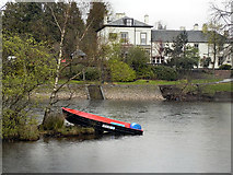 NS3982 : River Leven, Balloch by David Dixon