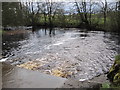 Confluence of Black Lyne and Bailey Water