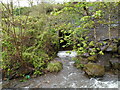 Stream issues from a culvert (2), Senghenydd