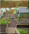 Aber Valley Community Allotment, Senghenydd