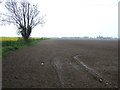 Farmland, Sempringham