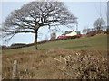 A Farm in Cwrtnewydd