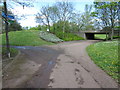 Path and underpass towards Linford Wood