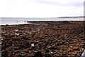 NZ3574 : The rocky foreshore at Curry's Point by Steve Daniels