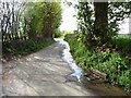 SE2316 : Water running down Denby Lane by Christine Johnstone