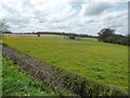 Fields from the canal tow-path