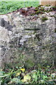 Weathered benchmark on stone at path junction