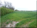 Farmland near Poplar Farm