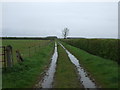 Farm track off Station Road