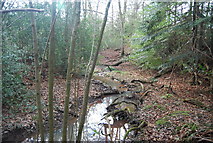 TQ6531 : Stream in Long Wood by N Chadwick